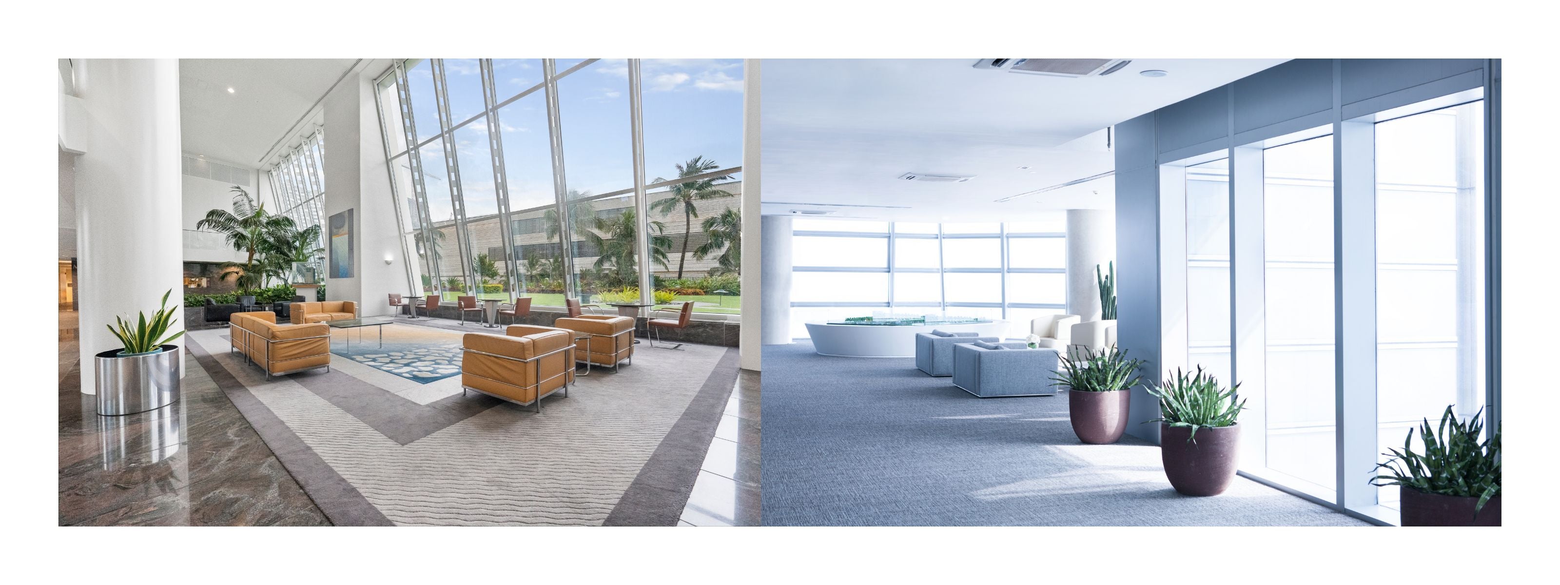 Header Prodomis GmbH Webseite